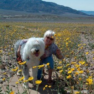 Meet your Posher, Nancy